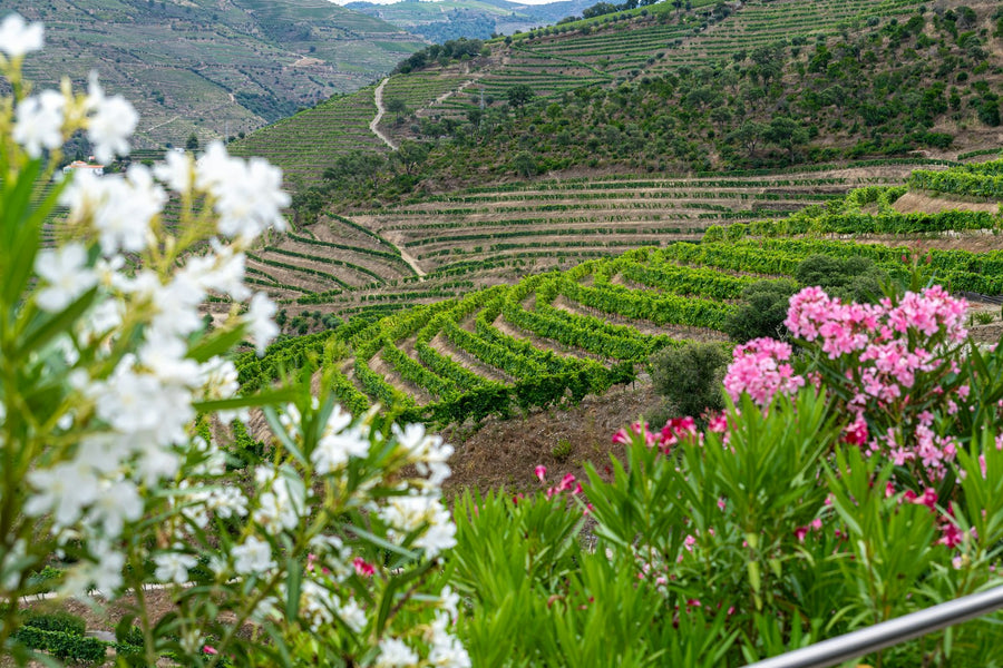 Portugal