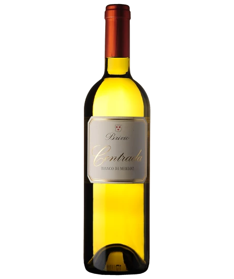 Contrada Bianco di Merlot 2024