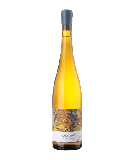 Alsace Schoffweg 2021