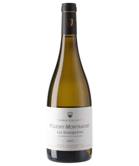 Puligny-Montrachet, les Enseignères 2023