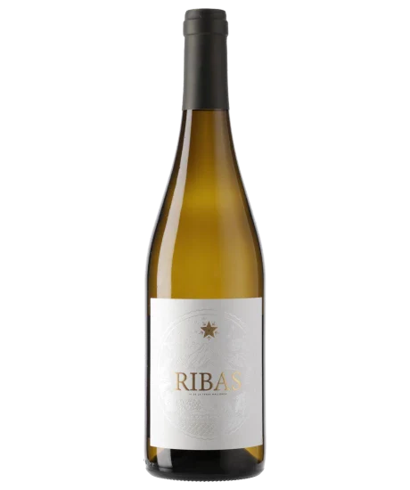 Ribas blanc 2024