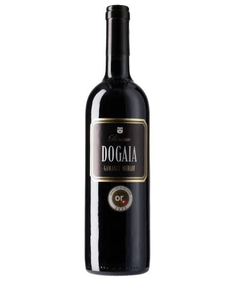 Dogaia 2022
