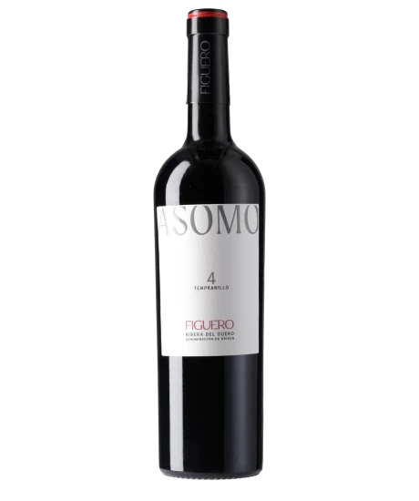 ASOMO Figuero 4 2024